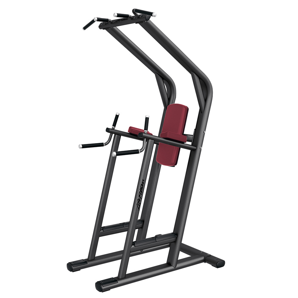 Pull-Up/Dip and Leg Raise Abdominal Combo Machine