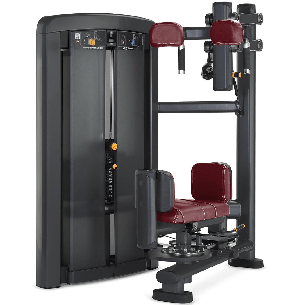 Torso Rotation Trainer