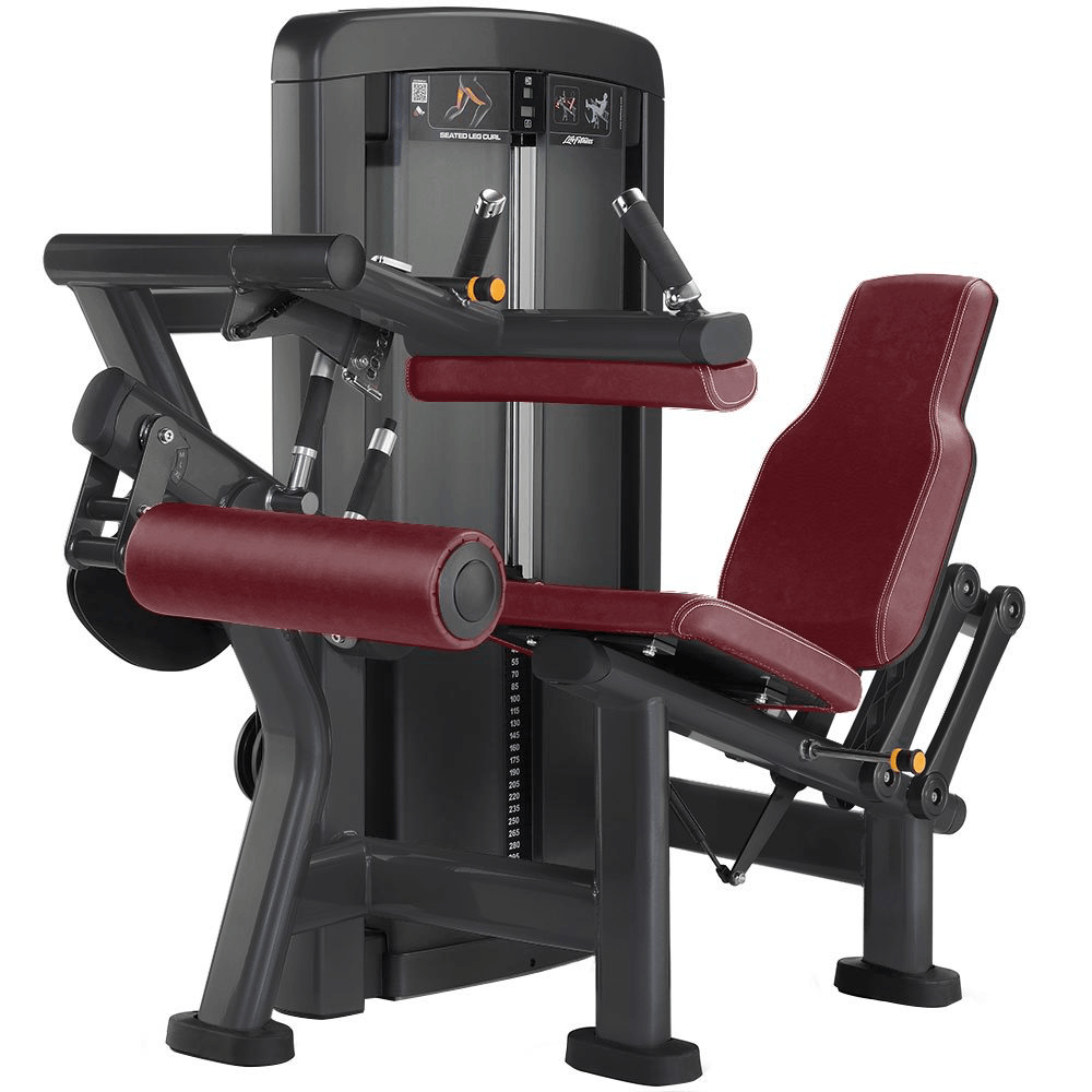 Seated Leg Curl/Extension Machine