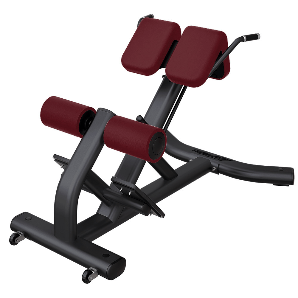 Back Extension Machine
