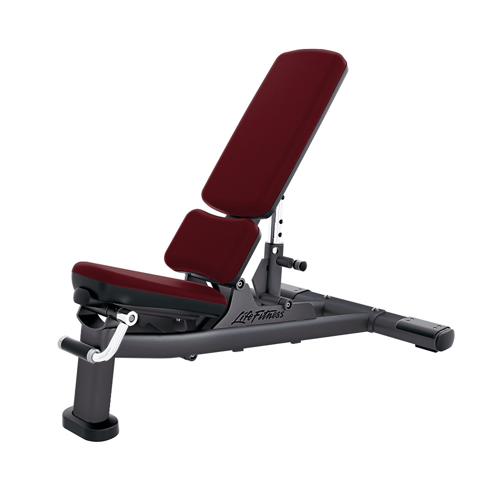 Olympic Multi-Adjustable Training Bench